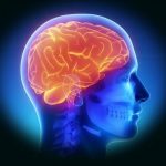 Bệnh về não| Tổng hợp các bệnh thường gặp nhất & dấu hiệu