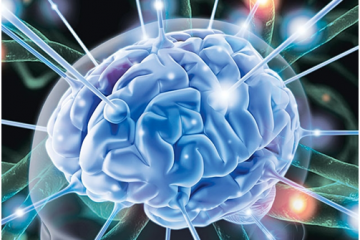 Teo tiểu não là gì ? Tìm hiểu chứng teo tiểu não