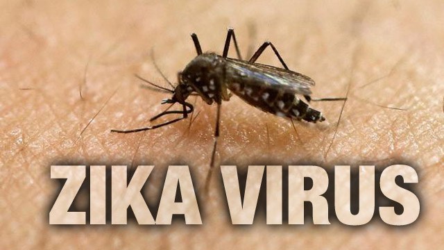 Teo não ở trẻ em do virus Zika