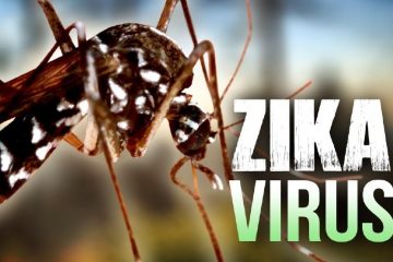 Virus Zika và bệnh teo não ở trẻ em có mối liên quan gì?
